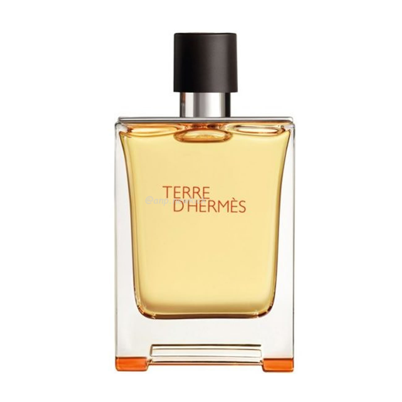 Hermes Terre D Pour Homme Edt 100ml (6) - newkick.app